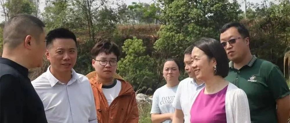 徐利帶隊督導(dǎo)瀘縣河湖長制、林長制工作