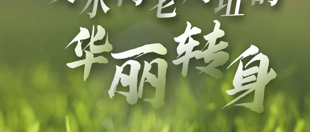 川江水暖一線連丨“臭水溝”老鷹坵的華麗轉(zhuǎn)身