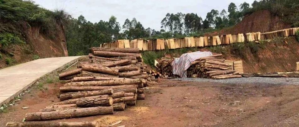 這些行為違法！公布4起打擊環(huán)境資源領(lǐng)域犯罪典型案例