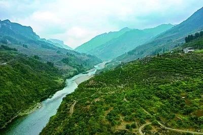 植綠護(hù)綠赤水河（光明日報(bào)）